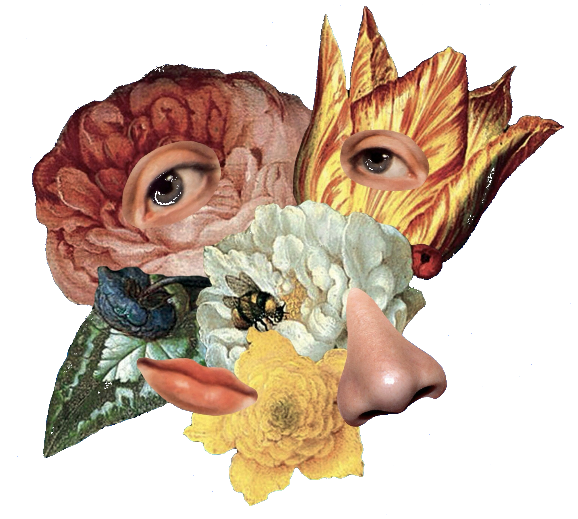 A mish-mash of disembodied facial features sits on a cluster of flowers.