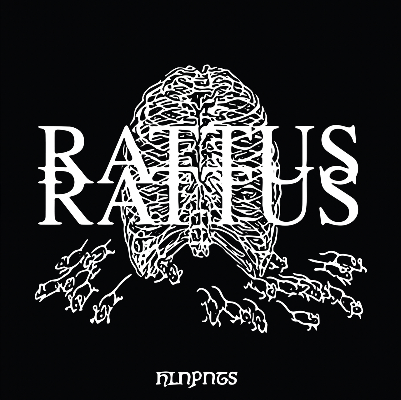 The cover of experimental poetry pamphlet "RATTUS RATTUS". A white ribcage with white outlines of rats escaping from it. The image sits on a black background.